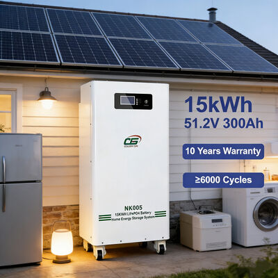 NK005 48V 51.2V 15kWh 300Ah 리튬인산철 배터리 팩 태양광 가정용 에너지 저장 배터리 시스템 (BMS 포함)